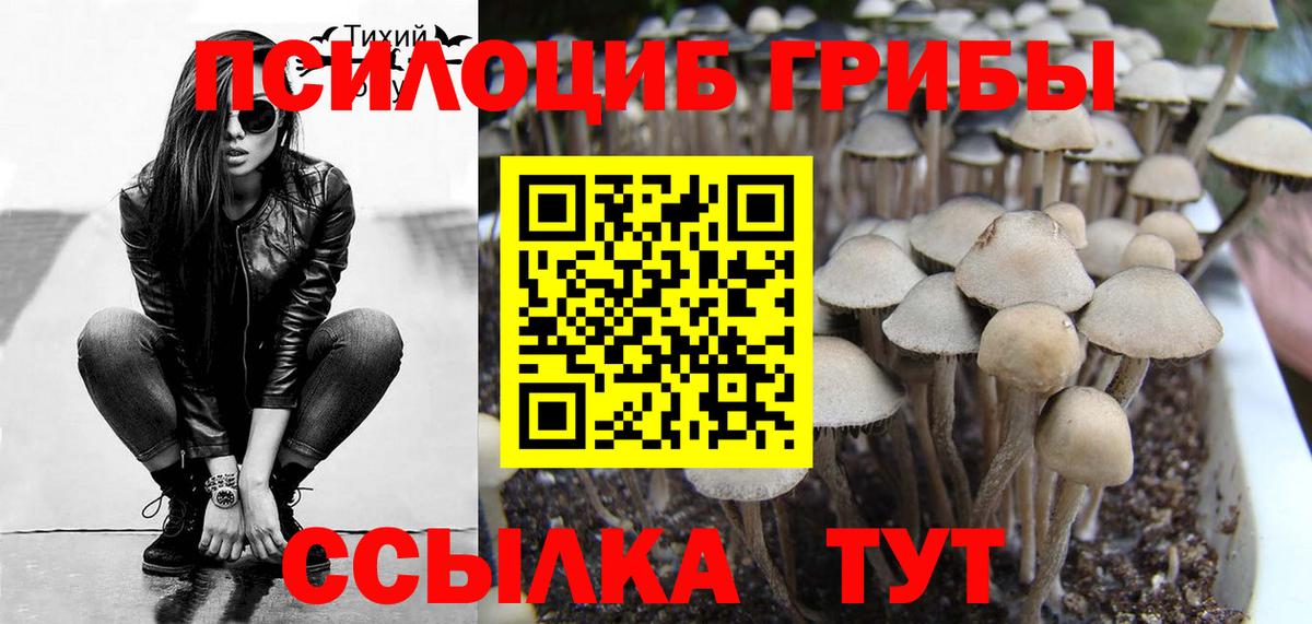 Галлюциногенные грибы мицелий Тутаев